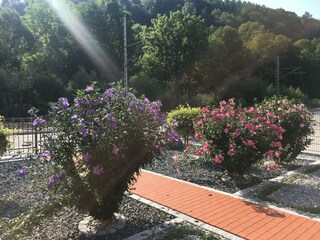 Holiday house Rübeland Outdoor Recording 3