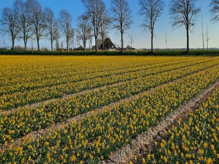 Vakantiehuis Heiloo Buitenaudio-opname 4