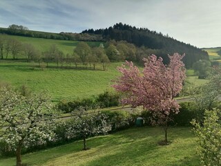 Garten im Frühling