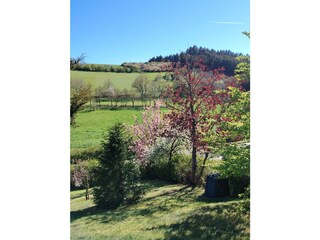Ausblick total