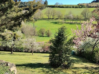 Frühlingsgarten
