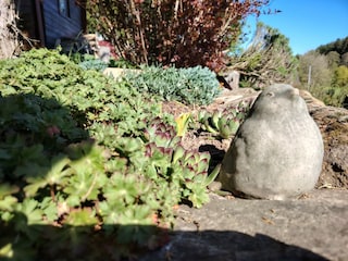 Gartenimpressionen