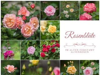 Ferienwohnung Altenbeken Außenaufnahme 9