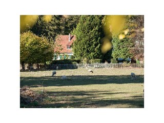 Holiday apartment Altenbeken Outdoor Recording 3