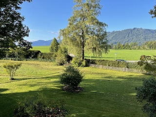 Alpenblick ins Karwendel und auf den Blomberg