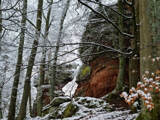 Apartamento Eppenbrunn Grabación al aire libre 21