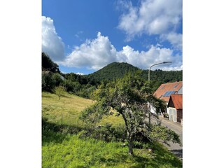 Appartamento Nothweiler Registrazione all'aperto 12