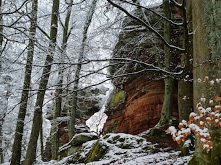 Appartement Eppenbrunn Buitenaudio-opname 22