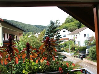 Balkonblick