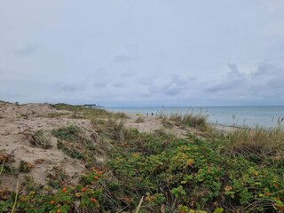 Casa per le vacanze Frederiksværk  55