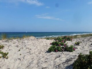 Casa per le vacanze Frederiksværk  56