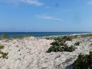 Casa de vacaciones Frederiksværk  36