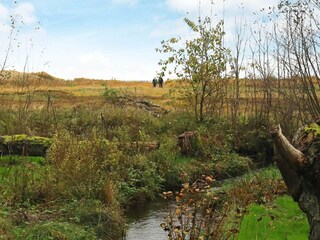 Casa de vacaciones Hals  26