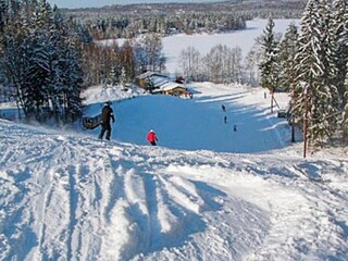 Vakantiehuis Virserum  18