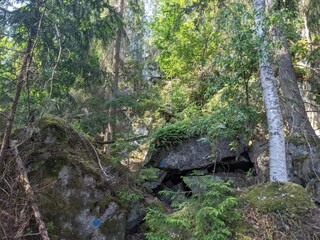 Vakantiehuis Virserum  36