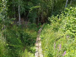 Vakantiehuis Virserum  20