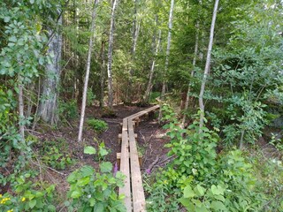 Holiday house Virserum  24