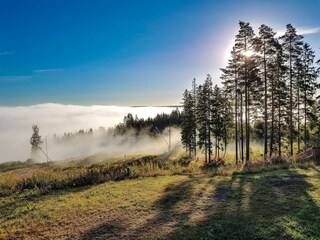 Vakantiehuis Virserum  8