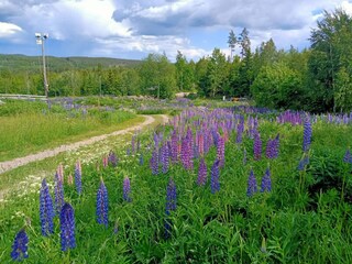 Vakantiehuis Virserum  35