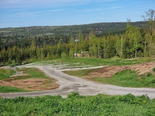 Holiday house Virserum  10