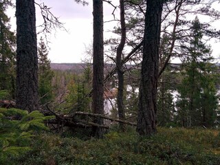 Holiday house Virserum  33