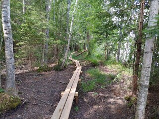 Holiday house Virserum  36