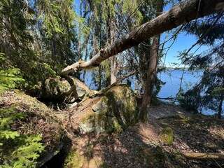 Holiday house Virserum  34