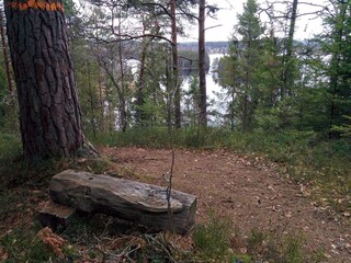 Holiday house Virserum  4