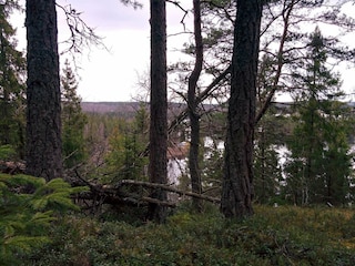 Ferienhaus Virserum  37