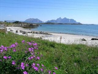 Ferienhaus Vestvågøy  25