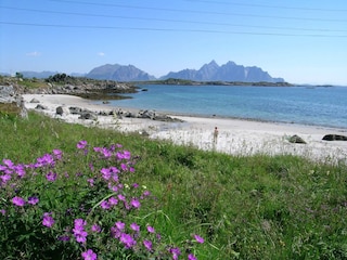 Holiday house Vestvågøy  9