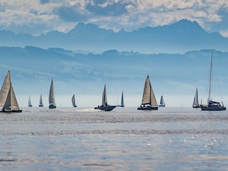 Segelboote auf dem Untersee