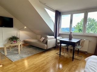 Holiday apartment Gaienhofen Features 6