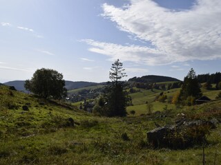 Holiday apartment Todtnauberg Outdoor Recording 16