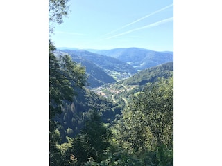 Blick von Todtnauberg auf Todtnau
