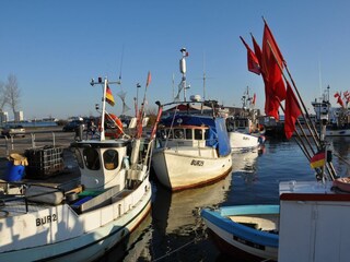 Ferienwohnung Burg auf Fehmarn Außenaufnahme 20