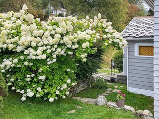 Holiday house Blaksæter Outdoor Recording 10