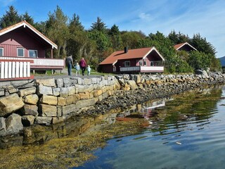 Vakantiehuis Bud  33