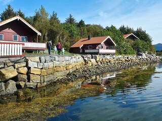 Ferienhaus Bud Außenaufnahme 6