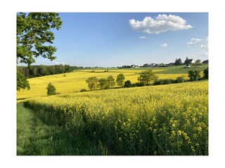 Umgebung