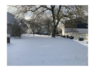 Garten Winter