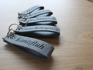 Appartamento per vacanze Schoppernau Caratteristiche 13