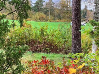 Vakantiehuis Hakanshult  18