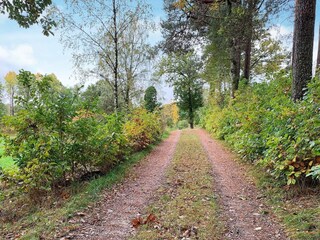 Ferienhaus Hakanshult  21