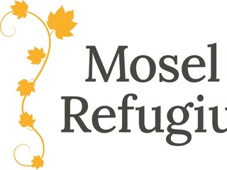 Appartamento Zell Mosel  36