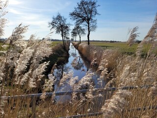 Zwischen Norden und Norddeich