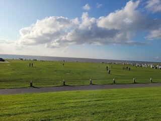 Deichlandschaft an der Nordsee