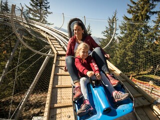 Alpbachtaler Lauser Sauser