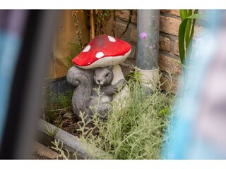 Maison de vacances Westkapelle  39