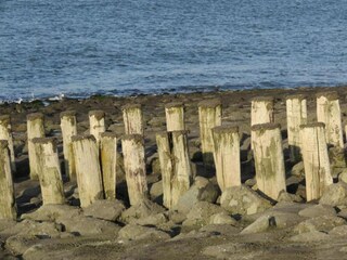 Casa per le vacanze Westkapelle Ambiente 27